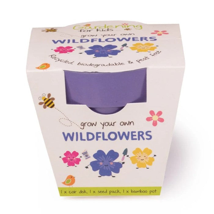 Grow Your Own Wildflowers Kit