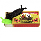 plastic slugs in black and green on top of a match box that reads 'Box of Slugs'.