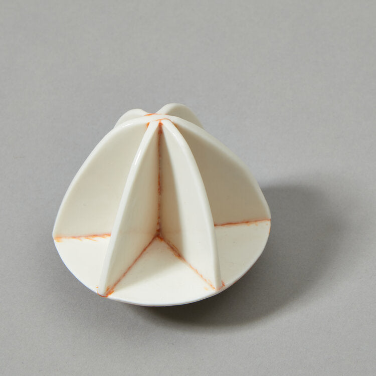 Jessica Thorn citrus juicer