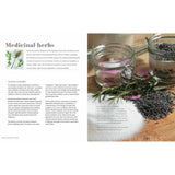 An open book on a white background. On the left page the instructions on how to make "Medicinal Herbs" can be read. On the right page, there is a picture of two glass recipients with seeds and herbs inside on a wooden table, on the left side of the table there is a bunch of salt, some seeds and rosemary.