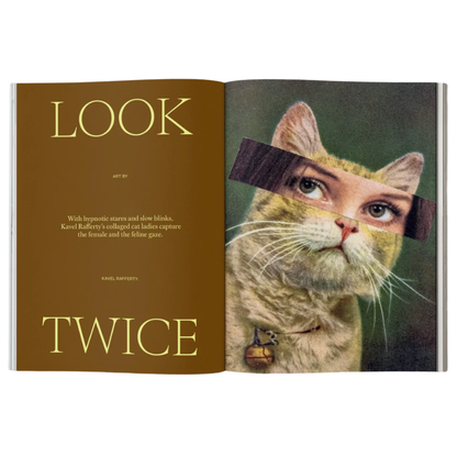 Catnip Magazine Vol. 2