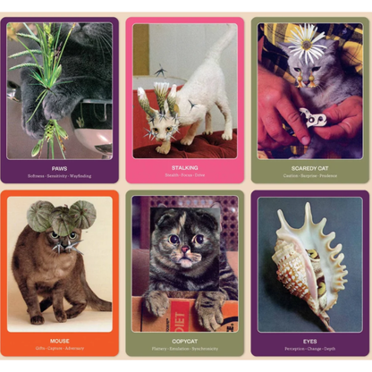 The Cat Oracle Cards