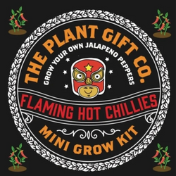 Chillies Eco Mini Grow Kit