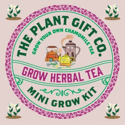 Herbal Tea Eco Mini Grow Kit
