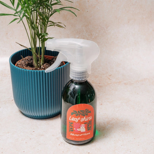 Leaf Shine by Between Two Thorns