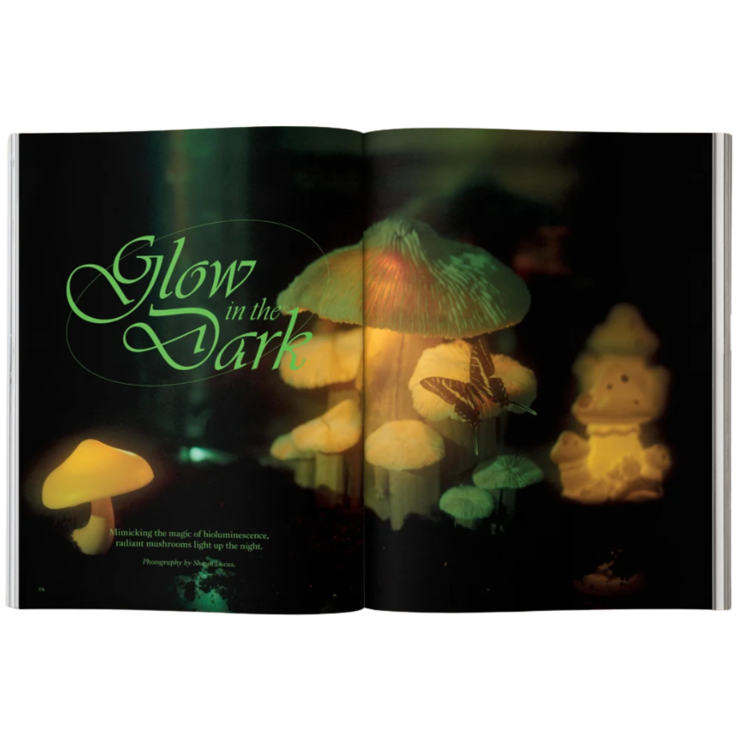 Mushroom People Magazine