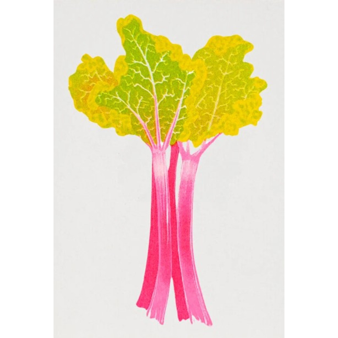 Rhubarb A4 Print by Petra Boase