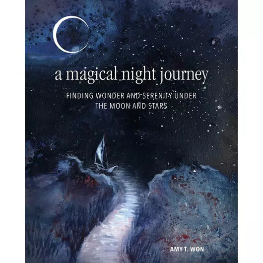 Copy of A Magical Night Journey by Amy T. Won; cover features an illustration in blue and silver of a night sky and the title appears in white text. Subtitle reads 