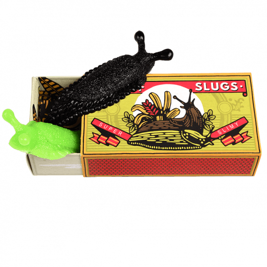 plastic slugs in black and green on top of a match box that reads 'Box of Slugs'.