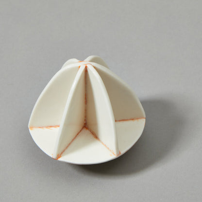 Jessica Thorn citrus juicer