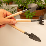 Mini garden tool set